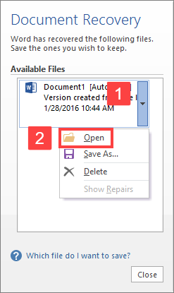 Document Recovery feature