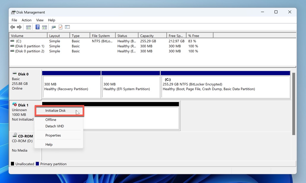 initialize disk option selected