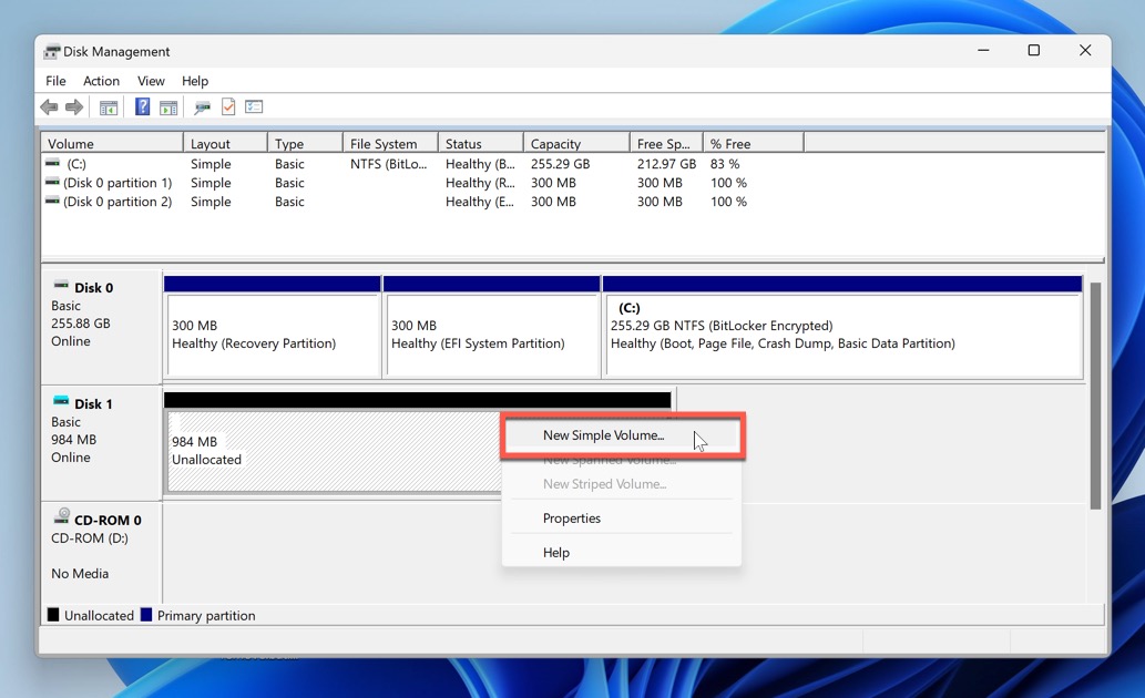 new simple volume create disk management tool