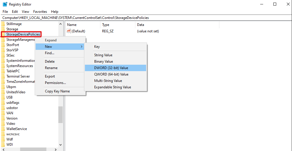 Criando um Valor DWORD [32 bits] com o nome WriteProtect