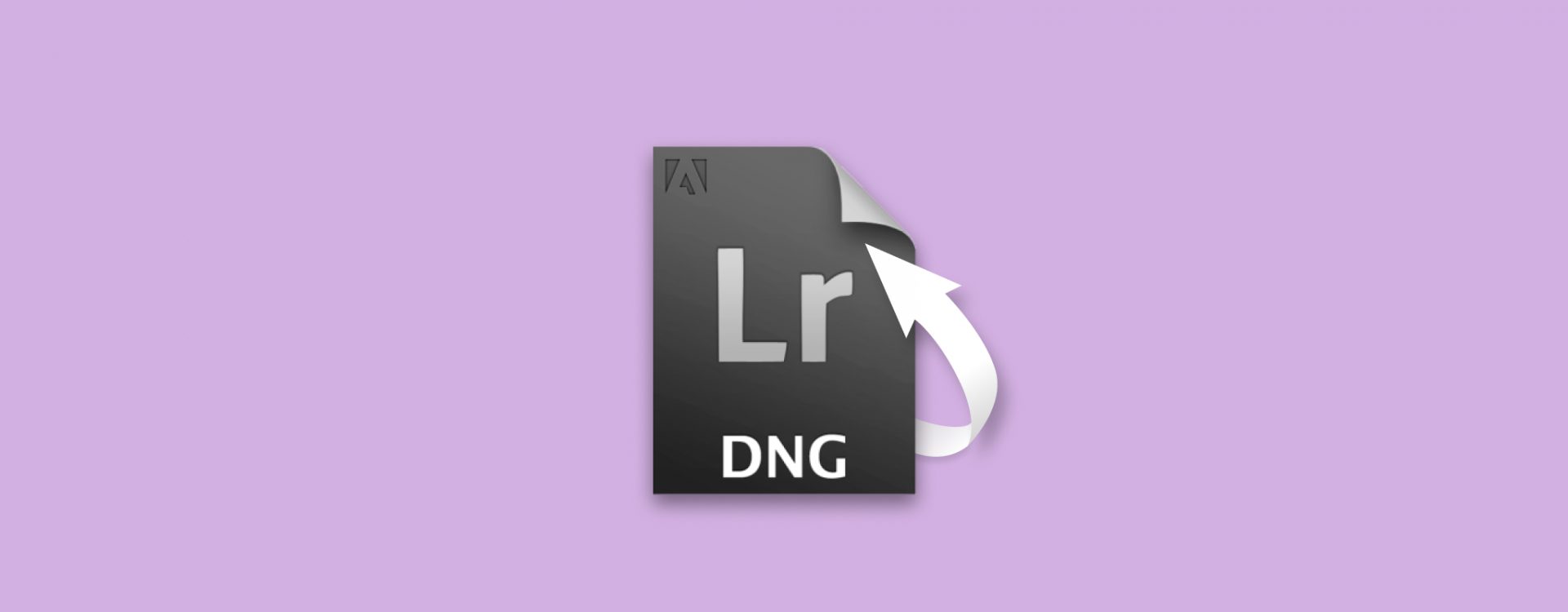 Cómo recuperar archivos DNG eliminados y verlos en Windows