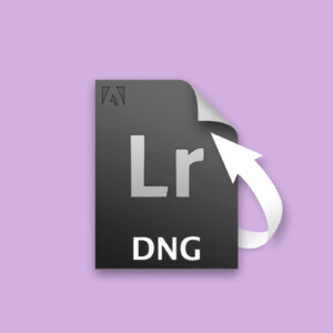 recover dng files