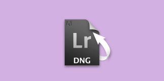 recover dng files