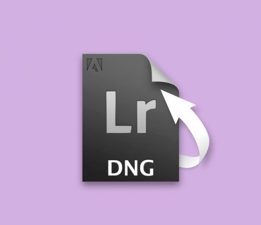 recover dng files