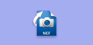 recover deleted nef files