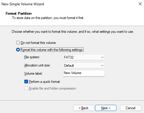 entering a volume label and selecting a file system