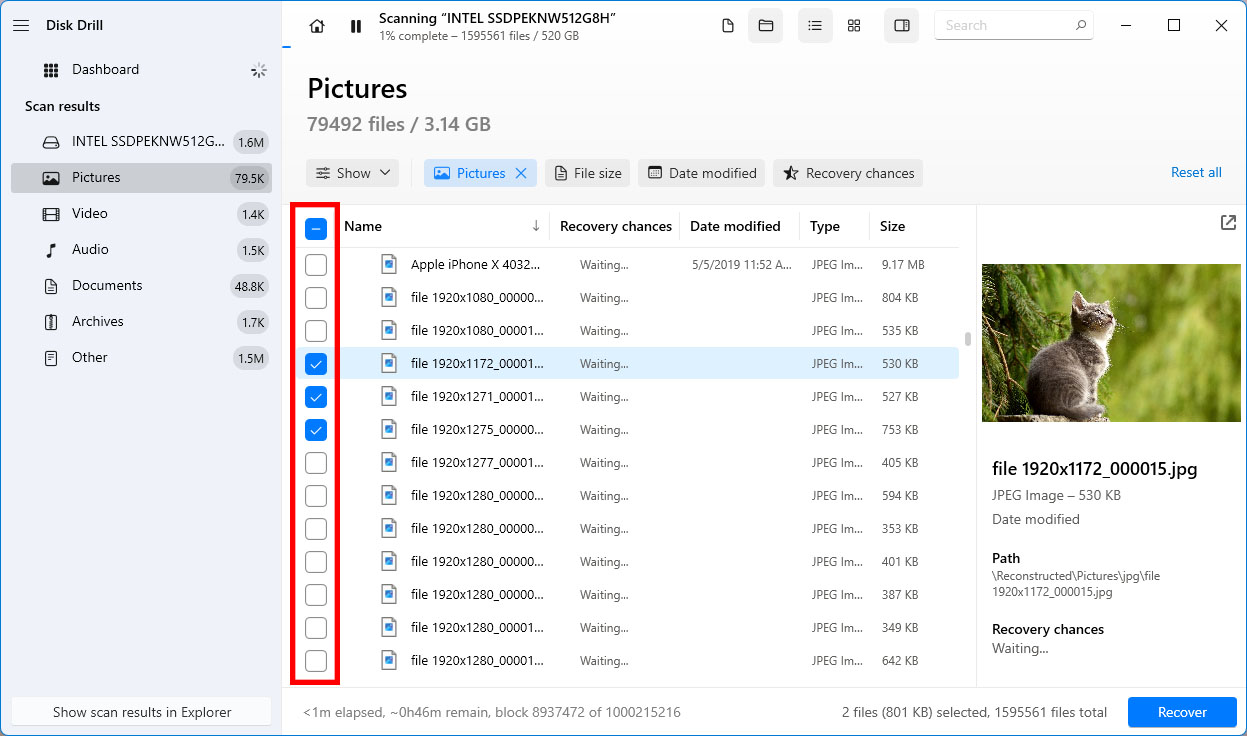 selecting files for recovery in Disk Drill