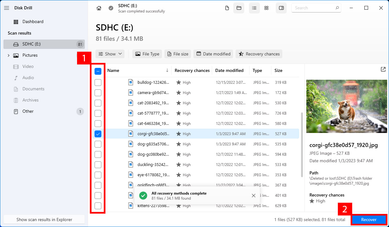 vista previa archivos encontrados en disk drill