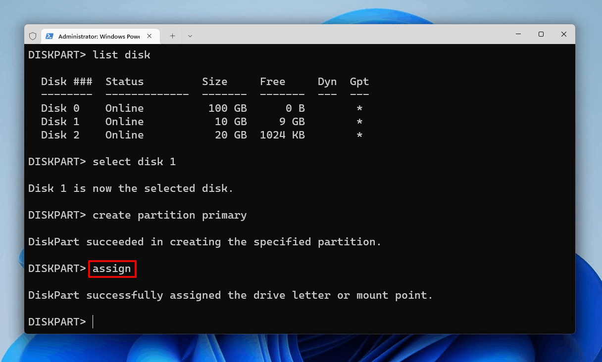 Assigning a drive letter.