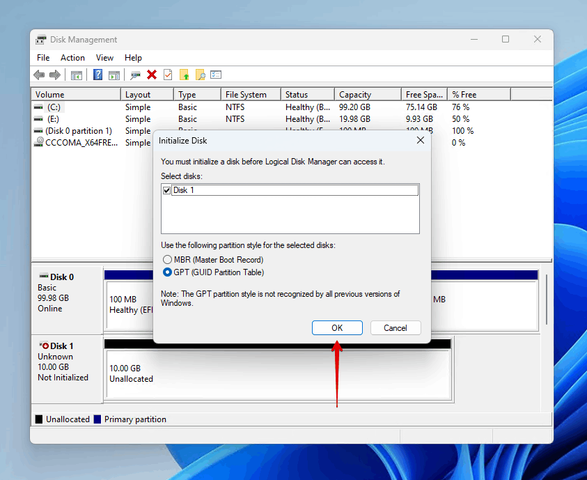 Choosing a partition style.