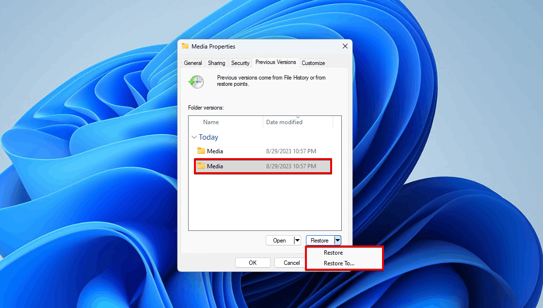 Auswählen, wie die Daten wiederhergestellt werden sollen.