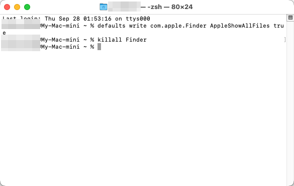 gör filer synliga i terminal