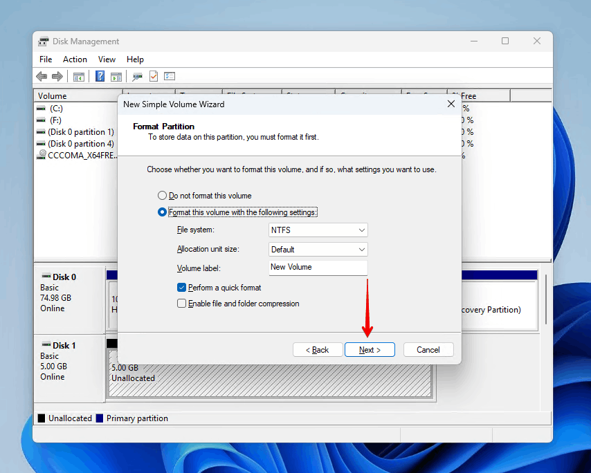 Formatting the partition with a file system.