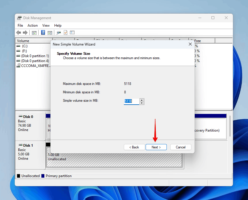 Specifying the volume size.