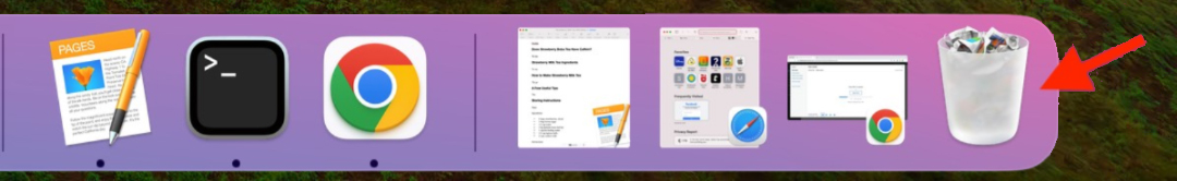 trash icon on dock
