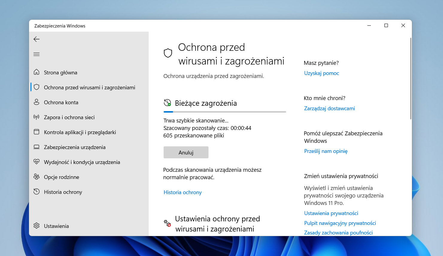 Opcje skanowania Windows Defender.