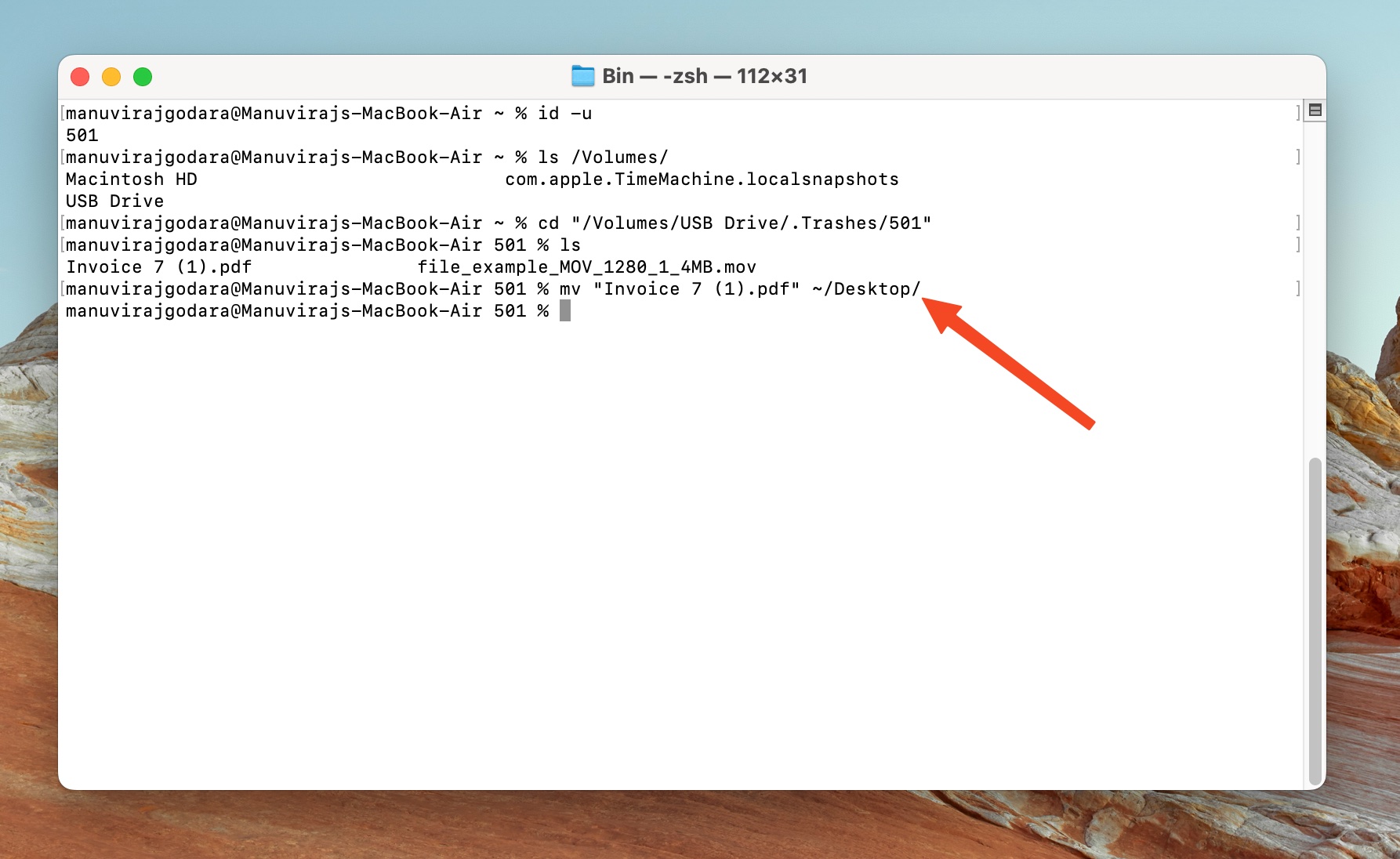 Terminal moving PDF from external drive to Desktop.