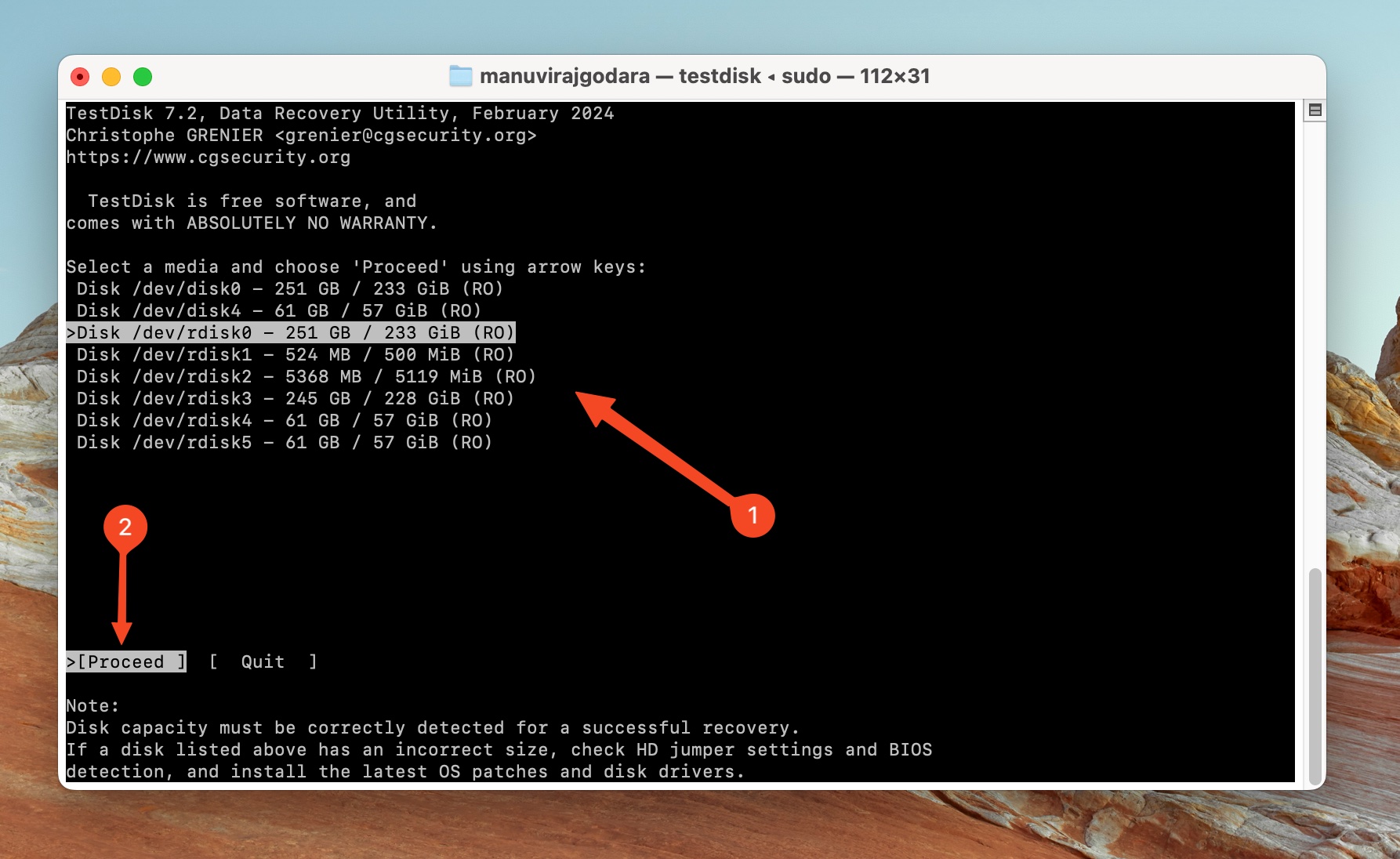 Choose storage drive screen in TestDisk.