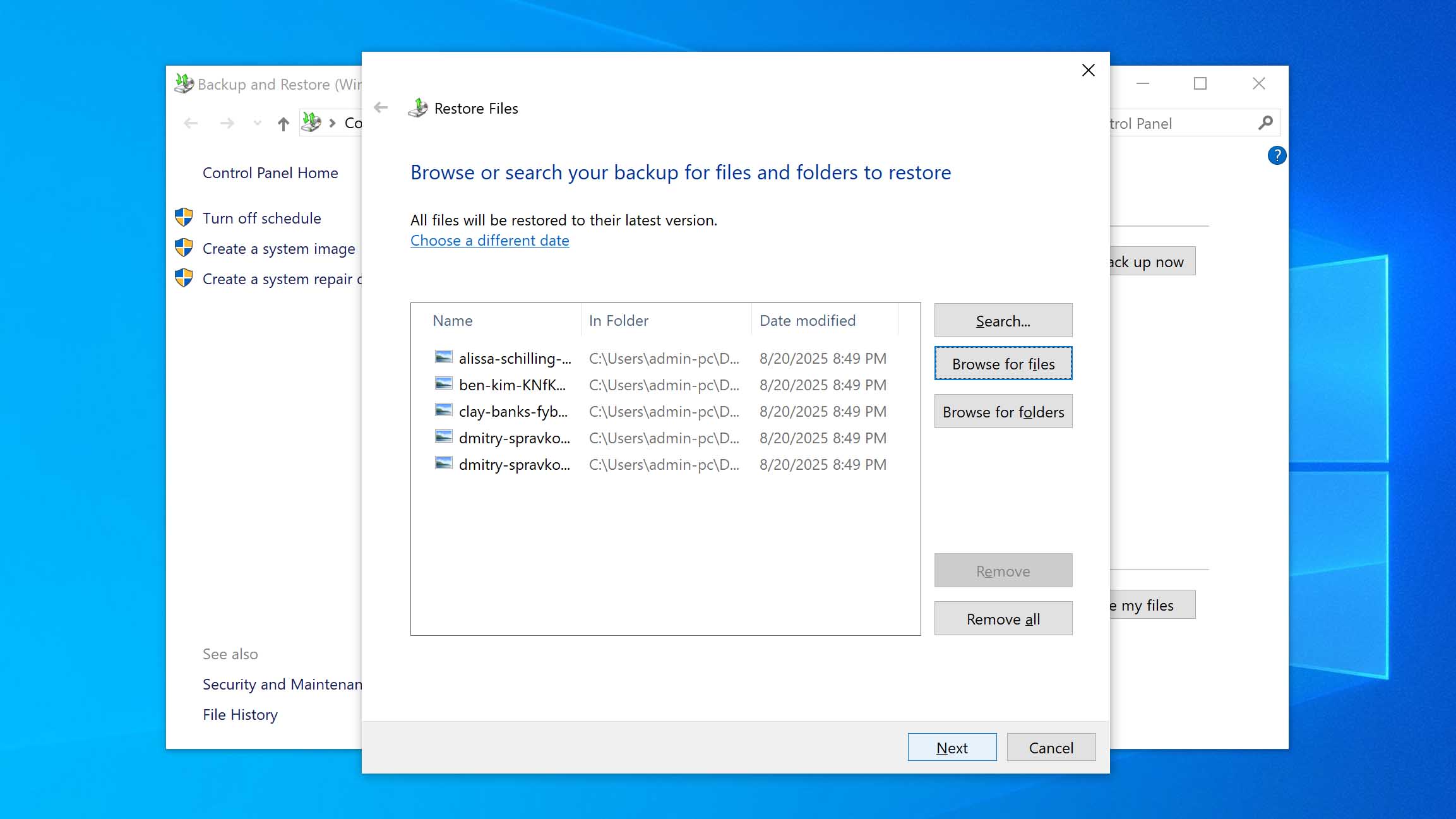 choose files for recovery