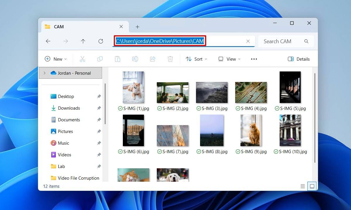 The folder path.