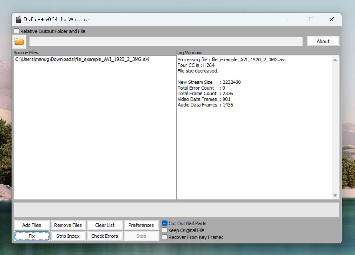 Video repair complete screen in DivFix++.