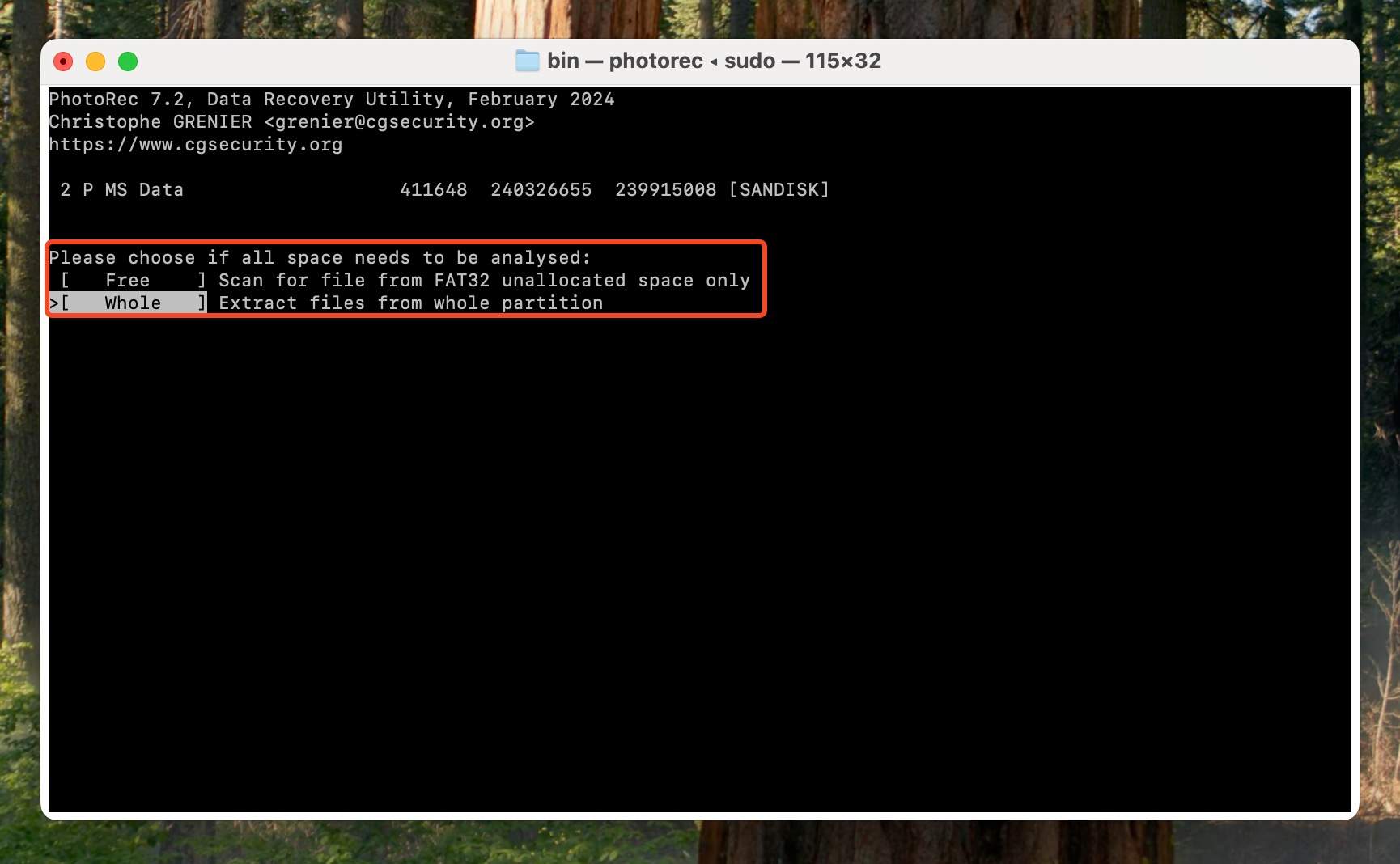 Choose whether to scan the entire disk, or unallocated space in PhotoRec.