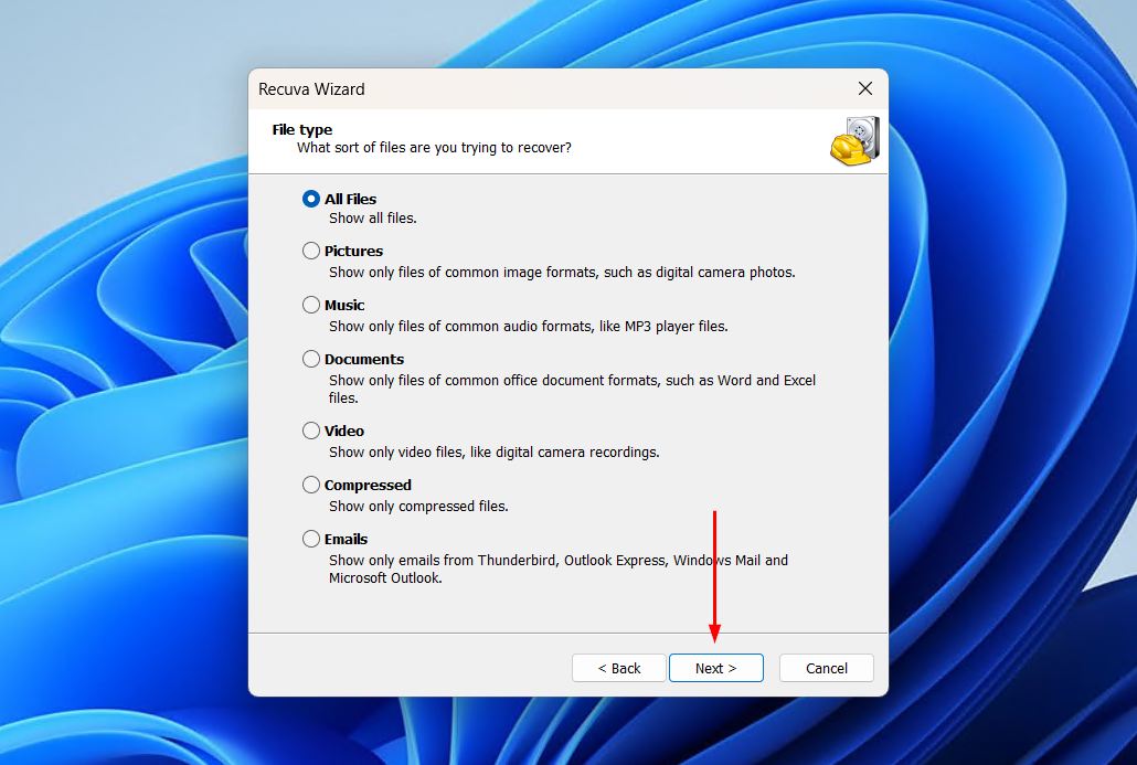 Choosing which type of files to recover.