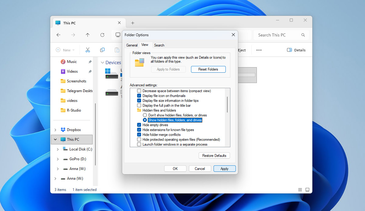 show hidden files in file explorer settings